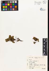 SW_BNB_s3080-04370_IMG-0000000001