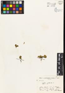 SW_BNB_s3080-04371_IMG-0000000001