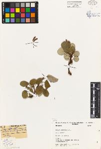 SW_BNB_s3080-04375_IMG-0000000001
