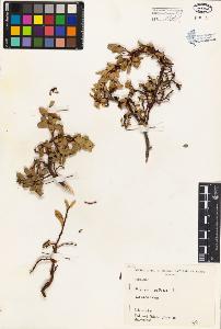 SW_BNB_s3080-04378_IMG-0000000001