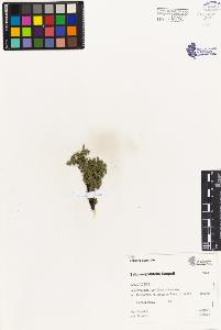 SW_BNB_s3080-04380_IMG-0000000001