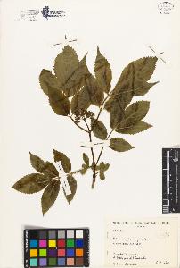 SW_BNB_s3080-04390_IMG-0000000001