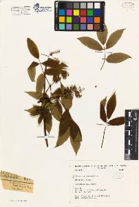 SW_BNB_s3080-04394_IMG-0000000001