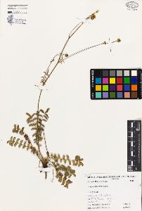 SW_BNB_s3080-04398_IMG-0000000001