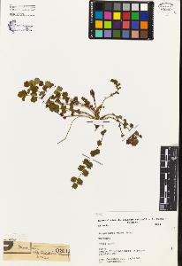 SW_BNB_s3080-04399_IMG-0000000001