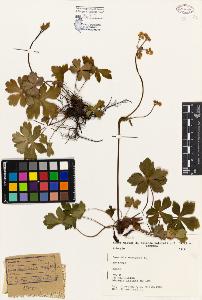 SW_BNB_s3080-04403_IMG-0000000001
