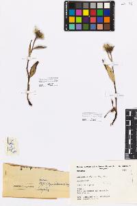 SW_BNB_s3080-04410_IMG-0000000001