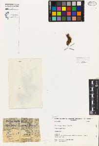 SW_BNB_s3080-04414_IMG-0000000001