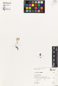 SW_BNB_s3080-04416_IMG-0000000001