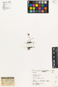 SW_BNB_s3080-04421_IMG-0000000001