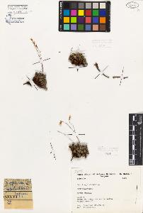 SW_BNB_s3080-04422_IMG-0000000001