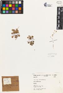 SW_BNB_s3080-04424_IMG-0000000001