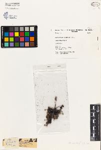SW_BNB_s3080-04427_IMG-0000000001