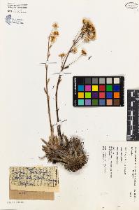 SW_BNB_s3080-04429_IMG-0000000001