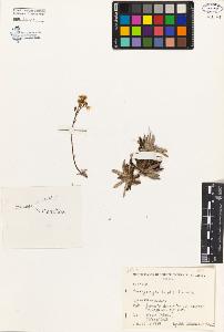 SW_BNB_s3080-04430_IMG-0000000001