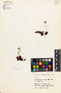 SW_BNB_s3080-04432_IMG-0000000001