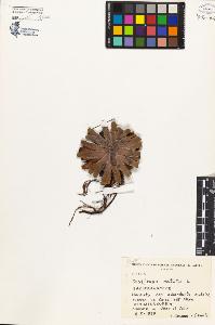 SW_BNB_s3080-04433_IMG-0000000001