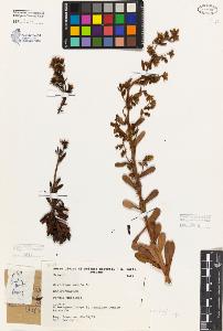 SW_BNB_s3080-04434_IMG-0000000001