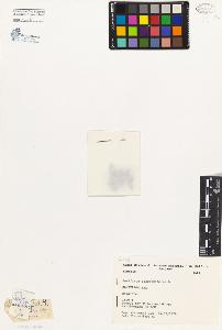 SW_BNB_s3080-04435_IMG-0000000001