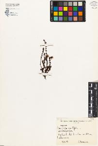 SW_BNB_s3080-04436_IMG-0000000001
