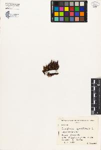 SW_BNB_s3080-04437_IMG-0000000001