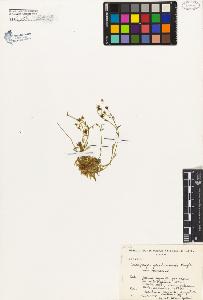 SW_BNB_s3080-04443_IMG-0000000001