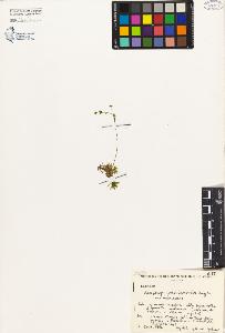 SW_BNB_s3080-04444_IMG-0000000001