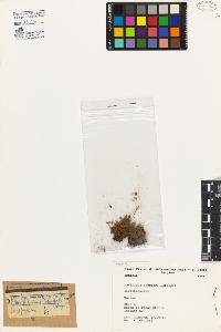 SW_BNB_s3080-04451_IMG-0000000001