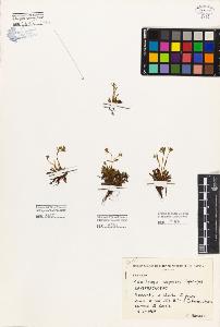 SW_BNB_s3080-04452_IMG-0000000001