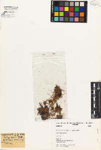 SW_BNB_s3080-04453_IMG-0000000001