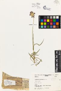 SW_BNB_s3080-04458_IMG-0000000001