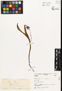 SW_BNB_s3080-04470_IMG-0000000001