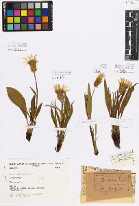 SW_BNB_s3080-04478_IMG-0000000001