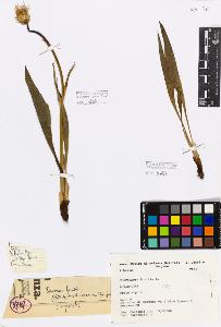 SW_BNB_s3080-04479_IMG-0000000001