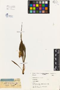 SW_BNB_s3080-04481_IMG-0000000001