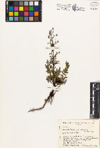 SW_BNB_s3080-04483_IMG-0000000001