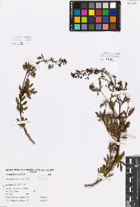 SW_BNB_s3080-04487_IMG-0000000001