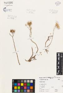 SW_BNB_s3080-04493_IMG-0000000001