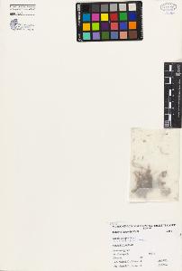 SW_BNB_s3080-04497_IMG-0000000001