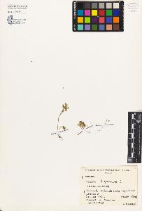 SW_BNB_s3080-04499_IMG-0000000001