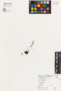 SW_BNB_s3080-04502_IMG-0000000001