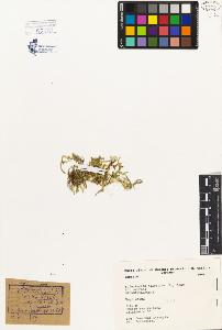 SW_BNB_s3080-04505_IMG-0000000001