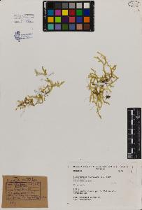 SW_BNB_s3080-04506_IMG-0000000001
