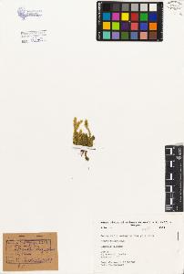 SW_BNB_s3080-04508_IMG-0000000001