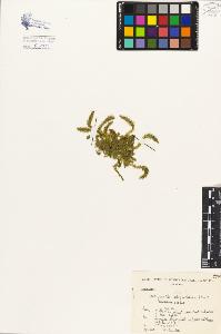 SW_BNB_s3080-04510_IMG-0000000001