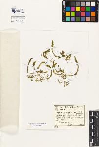 SW_BNB_s3080-04511_IMG-0000000001