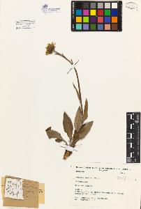 SW_BNB_s3080-04515_IMG-0000000001