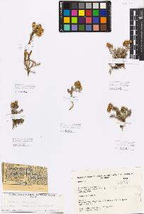 SW_BNB_s3080-04523_IMG-0000000001