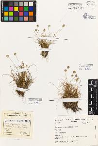 SW_BNB_s3080-04539_IMG-0000000001