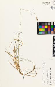 SW_BNB_s3080-04542_IMG-0000000001